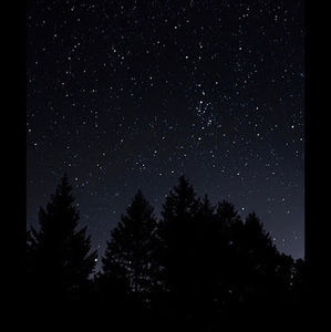 Meet your Posher, Anas